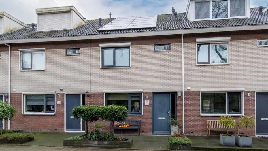 Vliegezwam 96
